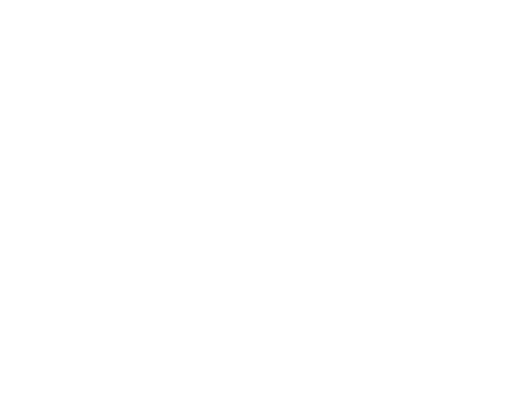 White Bridges International Logo